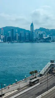 Stay & Big Bus Ride in Hong Kong

When the day folds, Hong Kong rearranges itself: neon maps the streets, ferries stitch light across Victoria Harbour, and the city moves at a different, quieter pace. Book a stay with @newworldmillenniumhkhotel and enjoy two tickets for the Big Bus Kowloon Night Tour — enjoy an evening ride through Kowloon and watch the skyline tell its story.

📸@ 浪毛线Joe

#NewWorldMillenniumHongKongHotel
#NewWorldHotels