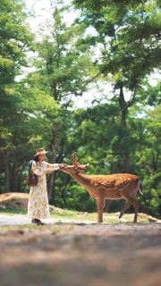 Coastal Encounters Worth Waking For

In Dalian you can watch seagulls wheel over the surf and spot deer wandering down to the shoreline. It’s an easy, family-friendly moment of wildlife—perfect for a slow morning walk before breakfast. Simple, unexpected and quietly memorable.

📸 @shuwenwendy 

#NewWorldDalianHotel
#NewWorldHotels