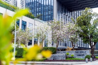 Spring Arrives @newworldhotels — Cherry Blossoms in Full Bloom

Petals drifting over the courtyard, soft sunlight through pale pink canopies — New World Guangzhou Hotel ushers in the season of new journeys. Celebrate the first blush of spring with serene walks, warm tea by the blooms, and a city that’s waking up in color.

#NewWorldGuangzhouHotel
#NewWorldHotels