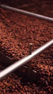 Every Masterpiece Begins with a Single Origin.
From cacao farms shaped by Vietnamese terroir to a hotel that has redefined hospitality in the heart of Saigon for over three decades, two pioneers now meet through a shared devotion to craft, culture, and intentional detail. What once was perfected in isolation now comes together as a new sensory journey — where chocolate, artistry, and hospitality intersect.
A sensory intersection of Saigon’s pioneers.
Marou Chocolate × New World Hotels & Resorts — Coming soon @newworldsaigon
@marouchocolate
@newworldhotels
@newworldphuquocresort
@newworldsaigon
@newworldhoianabeachresort
#MarouXNewWorldHotels
#NewWorldHotels
#BeyondtheSummer