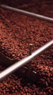Every Masterpiece Begins with a Single Origin.

From cacao farms shaped by Vietnamese terroir to a hotel that has redefined hospitality in the heart of Saigon for over three decades, two pioneers now meet through a shared devotion to craft, culture, and intentional detail. What once was perfected in isolation now comes together as a new sensory journey — where chocolate, artistry, and hospitality intersect.

A sensory intersection of Saigon’s pioneers.

Marou Chocolate × New World Hotels & Resorts — Coming soon @newworldsaigon

@marouchocolate
@newworldhotels
@newworldphuquocresort
@newworldsaigon
@newworldhoianabeachresort
#MarouXNewWorldHotels
#NewWorldHotels
#BeyondtheSummer